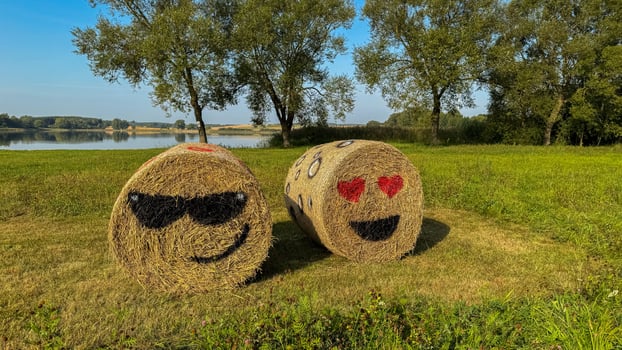 Playful hay bales with painted emoji faces in a sunny field with trees and lake in the background photo