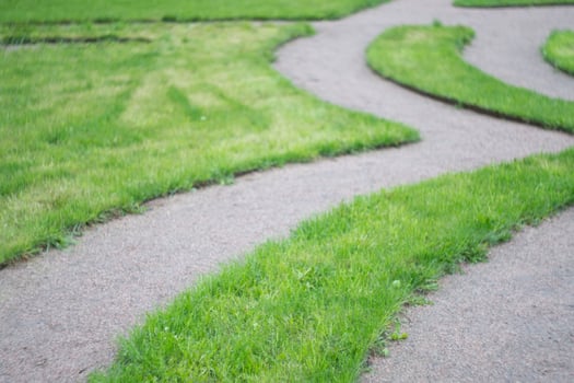 Curved pathways in a green garden landscape photo