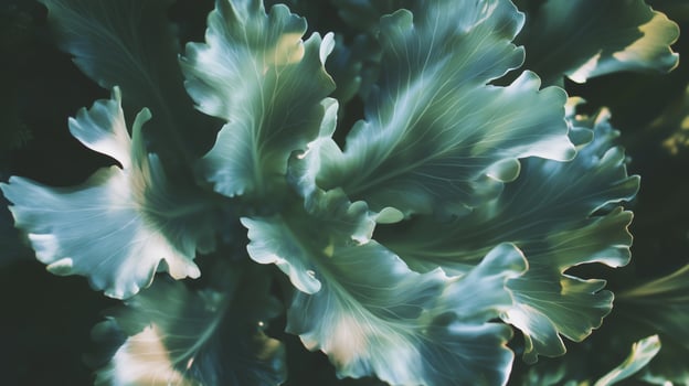 A close up of a plant with green leaves. photo