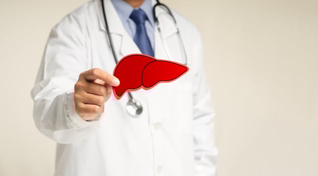 Doctor holding a liver shape symbol while standing in a hospital photo