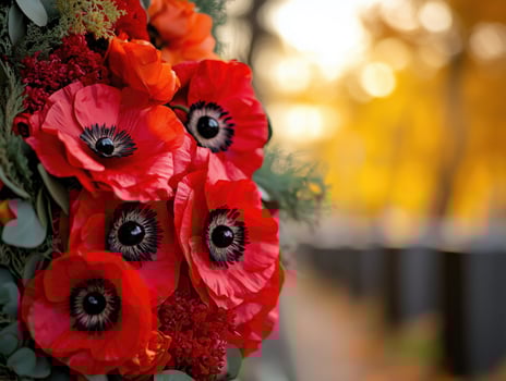 Bouquet of red flowers with black centers photo