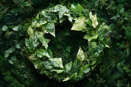 Lush Green Wreath Design for Nature-Inspired Decor and Holiday Celebrations photo