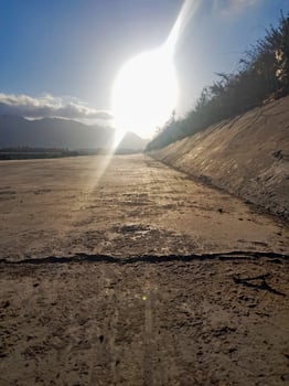 Nature is charming along a long path at sunset. In a closer view of the ground, the sky glows as the sun illuminates the path with warm golden light, creating an intimate perspective of the floor. photo