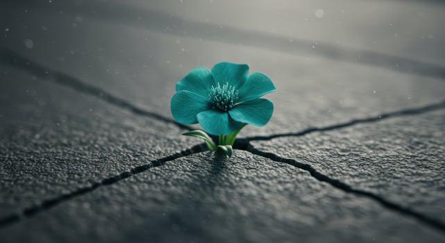 Teal flower growing through cracked concrete surface, symbolizing resilience, determination, and overcoming adversity in challenging environments. photo
