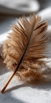 Soft brown feather resting on white fabric surface photo
