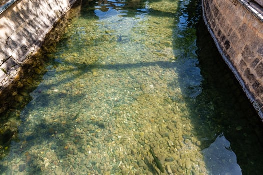 Fish lake in historic religous site in sanliurfa, Turkey photo