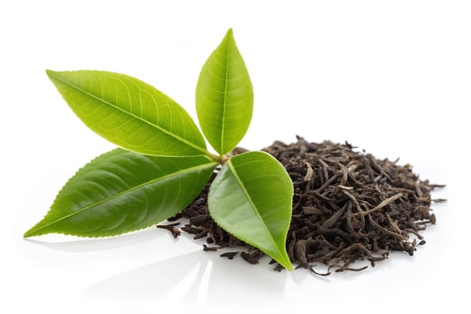 Fresh green tea leaves stand near heap of dried leaves on white background photo
