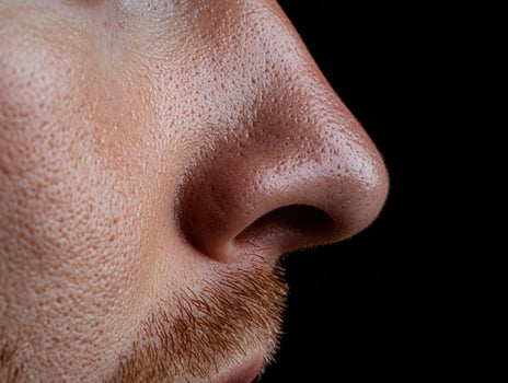 Close up of a mans nose showing pores and facial hair photo