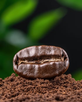 A single coffee bean on coffee grounds photo