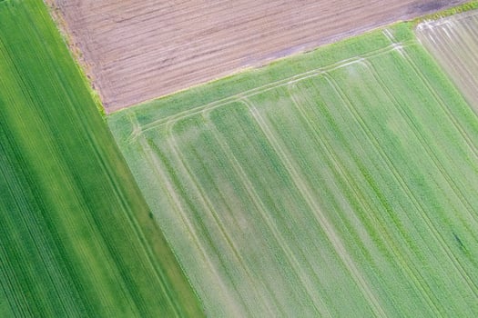 aerial perspective of a rural scene showing field division, top down image by drone photo