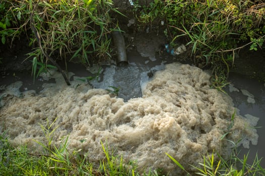 Thick brownish foam coming out of the rice field drainage pipe. photo