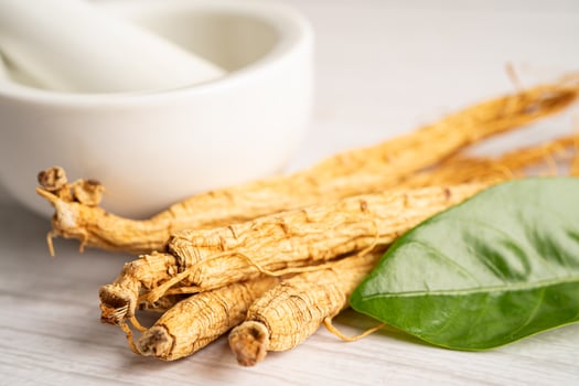 Ginseng, dried vegetable herb. Healthy food famous export food photo