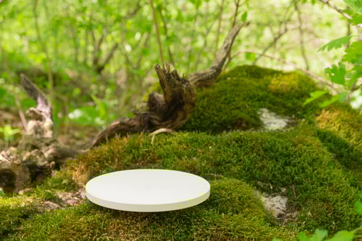 Podium for products placed on lush green moss in a serene forest environment under natural light photo