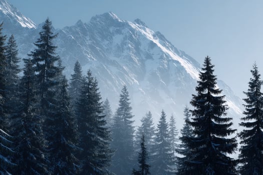 Snowy mountain landscape with tall pine trees in winter photo