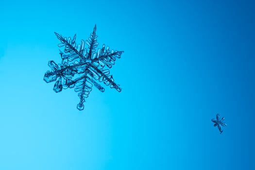 natural snowflake macro on a blue background. photo