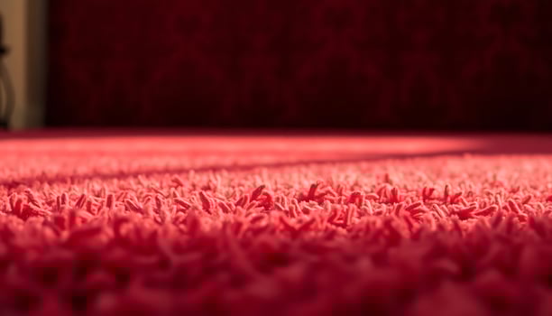 red carpet is shown in a room photo