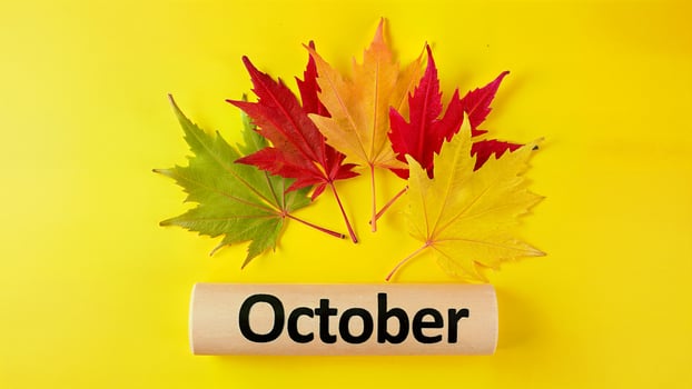October Autumn Leaves on Yellow Background photo