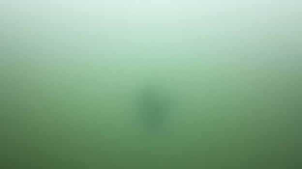 Solitary Figure Floating in Calm Green Water photo
