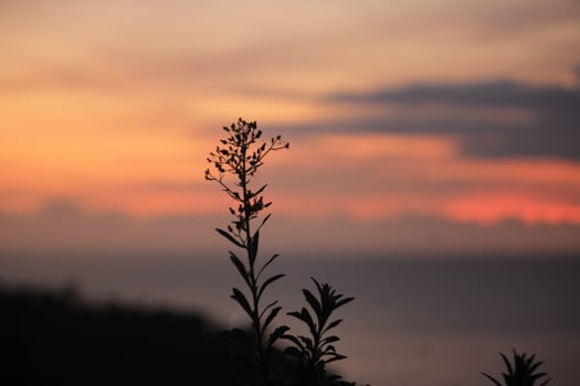 Dusk Falls on the Tide photo