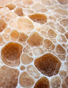 Abstract porous texture with interlaced network of beige cells photo