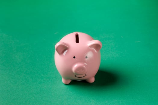 Savings bank in the shape of a pig standing on a green background during daylight photo