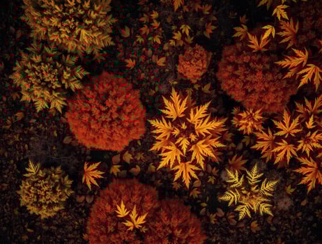 a vibrant autumnal scene with golden and red leaves. This top-down perspective creates a beautiful natural texture and abstract composition, ideal for design projects photo