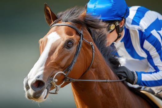 Horse and jockey racing on the track photo