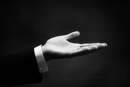 Elegant hand gesture in black and white, symbolizing invitation or offering, with a blurred background photo