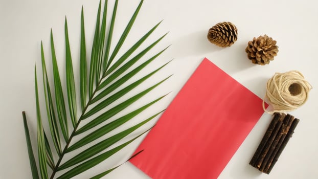 Palm leaf and pine cones flat lay composition rustic natural elements cozy home decor nature inspired photo