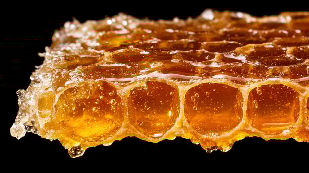Golden honeycomb dripping with sweet, sticky honey photo