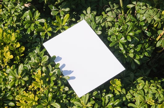 Blank white poster mock up in tropical bushes in nature photo