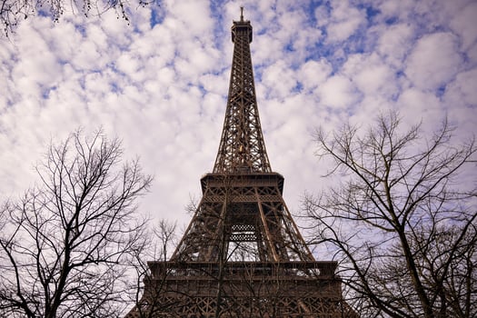 Eiffel Tower Among Bare Trees on a Bright Winter Day photo