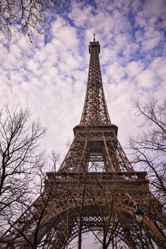 Eiffel Tower and Winter Trees Against a Bright Paris Sky photo