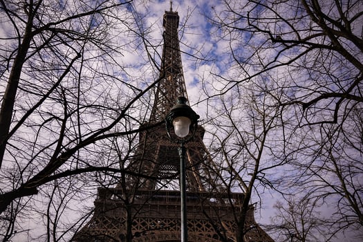Street lamp and Eiffel Tower framed by bare trees in winter, Paris, France photo