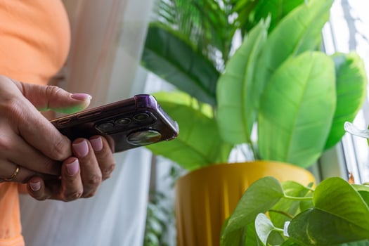 Female using smartphone near indoor plants by sunny window photo