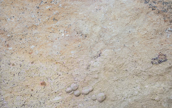 Close-up of rough beige sandstone texture with patterns photo