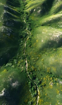 Scenic aerial view capturing a winding path through a lush green valley with scattered yellow flowers photo