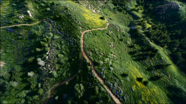 A scenic winding pathway through a vibrant green hillside in a high angle shot during the day photo