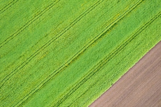 aerial top down view of agricultural fields in spring, background for agriculture concept photo