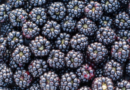 Ripe blackberries form a dark, dense and textured layer,rich deep blue color with the back of the berries visible, creating an attractive visual image, photo