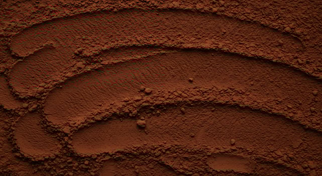 A close up of a chocolate bar with a swirl pattern photo