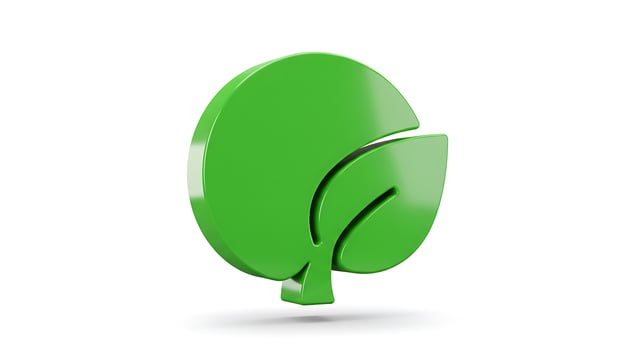 A green leaf icon on a white background photo