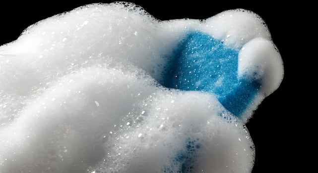 A close up of a blue and white sponge photo