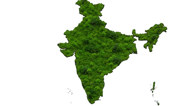 India map with green trees photo