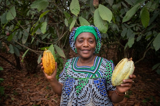 An African female farmer holds in her hands cocoa beans from her plantation. photo