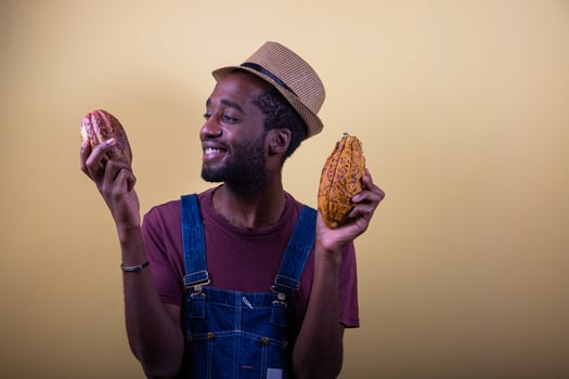 An african farmer looks with satisfaction his freshly harvested cocoa pods, photo in the studio.