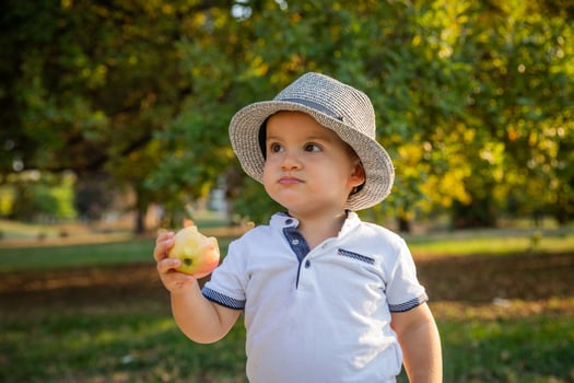 A toddler eats an apple while in a public park, children and healthy lifestyle concept. photo