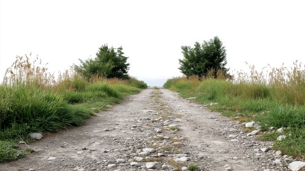 A gravel road with grass and trees on either side photo