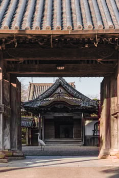 Traditional wooden temple or shrine with great egret bird in Yoshino, Nara photo
