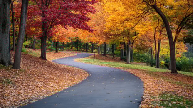Autumnal pathway winding through colorful foliage. photo